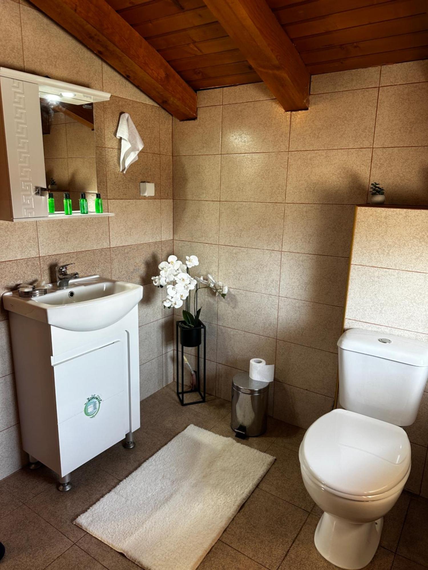 Snow House Hotel บันสโก ภายนอก รูปภาพ